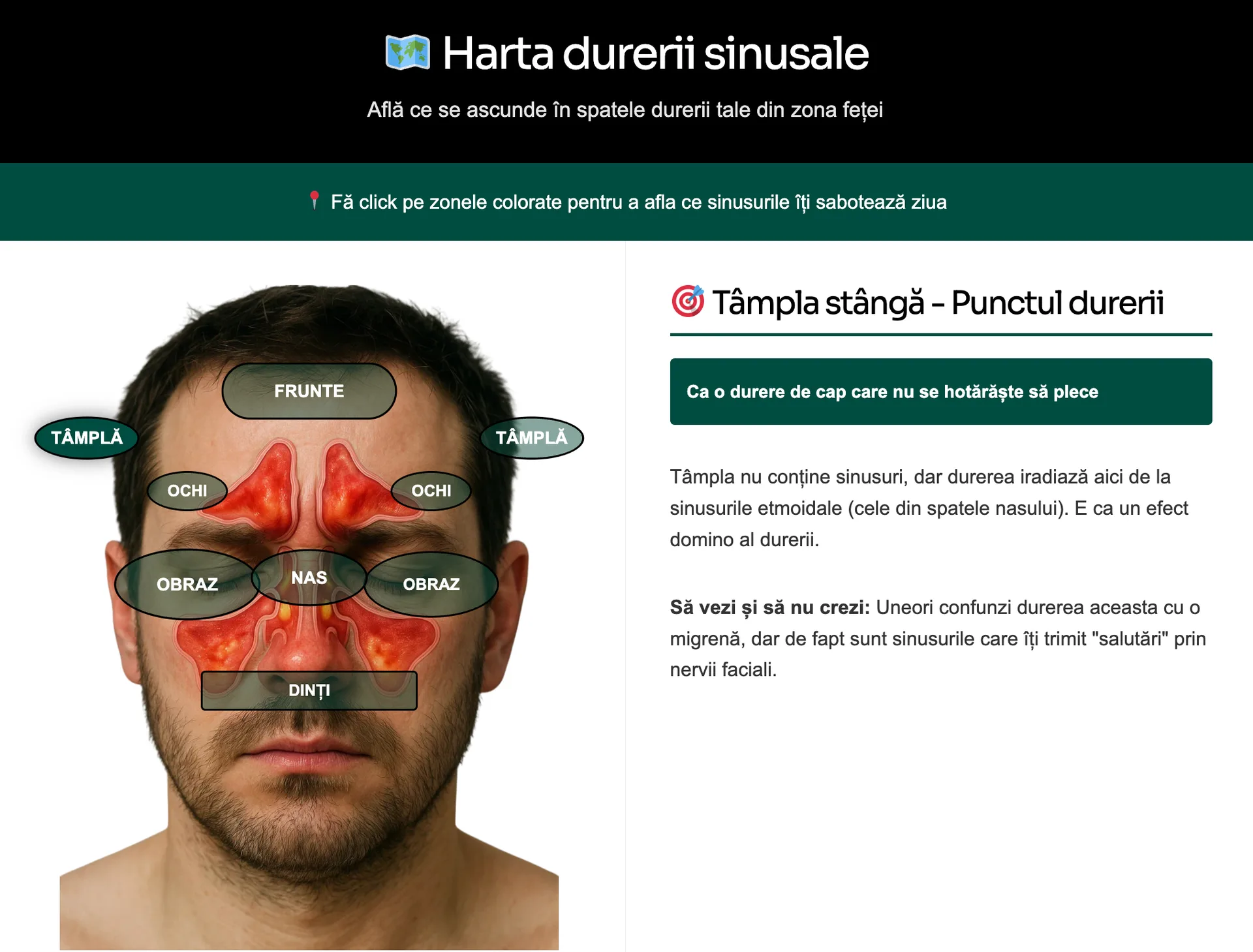 Harta durerii sinusale — Harta durerii sinusale — Webapp simptome