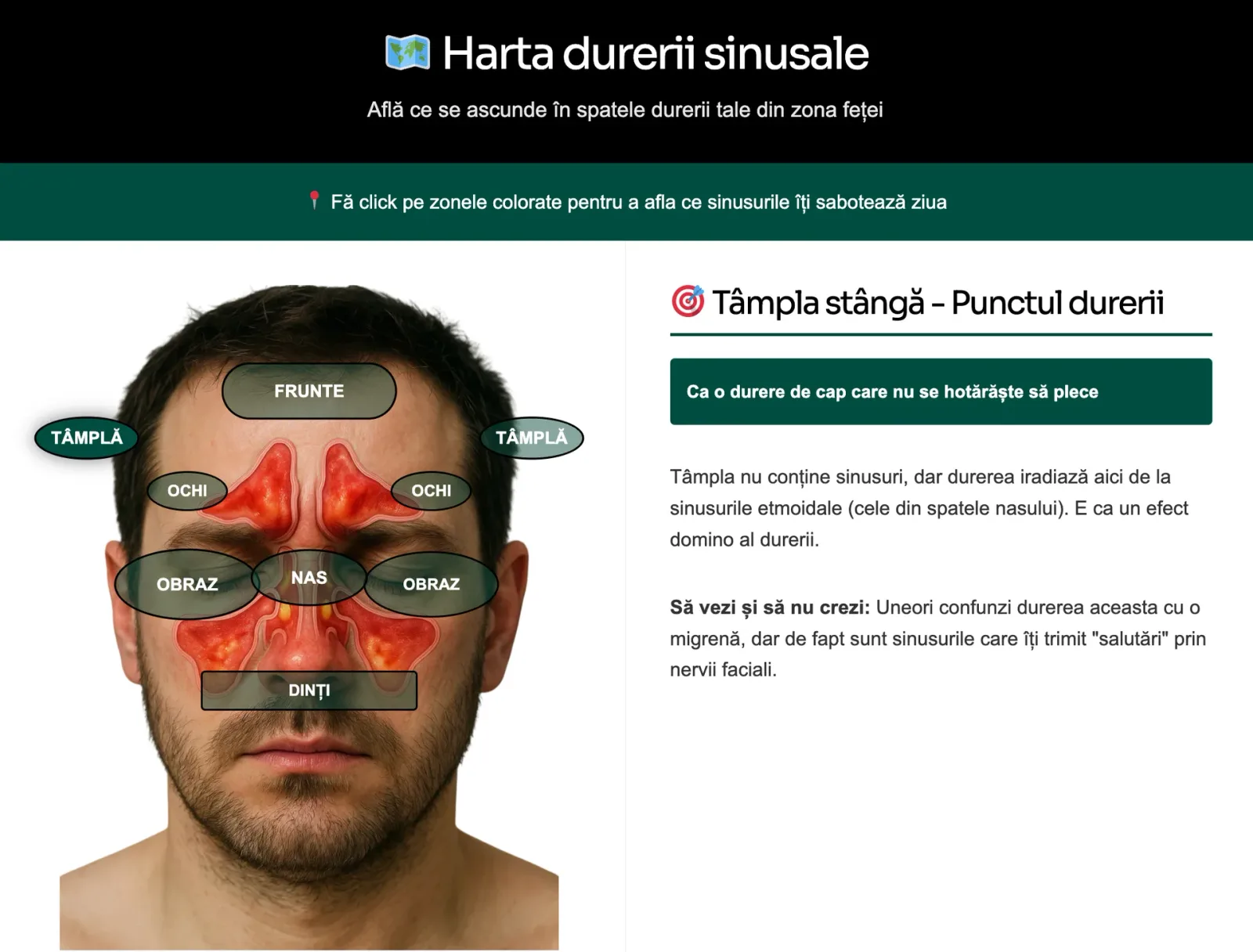 Harta durerii sinusale — Harta durerii sinusale — Webapp simptome