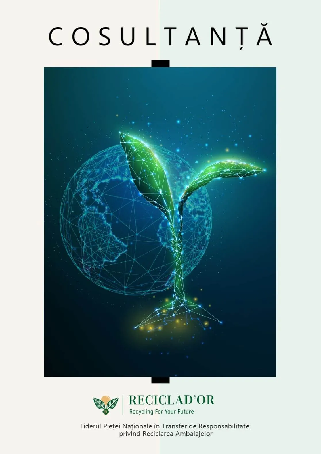 Reciclador — Reciclador — broșură de prezentare